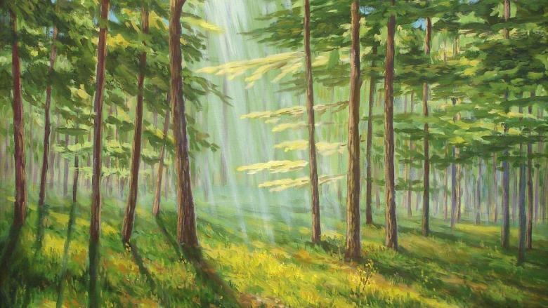 Как нарисовать лес поэтапно карандашом и красками — примеры рисунков и этапы создания рисунка леса