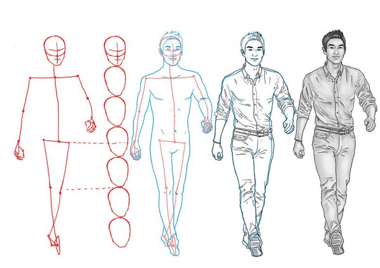 Как правильно рисовать фигуру человека