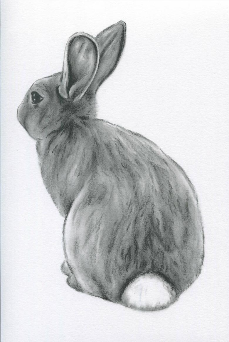 Нарисованный кролик 