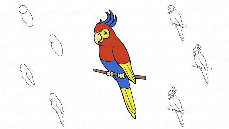 Нарисованный попугай 