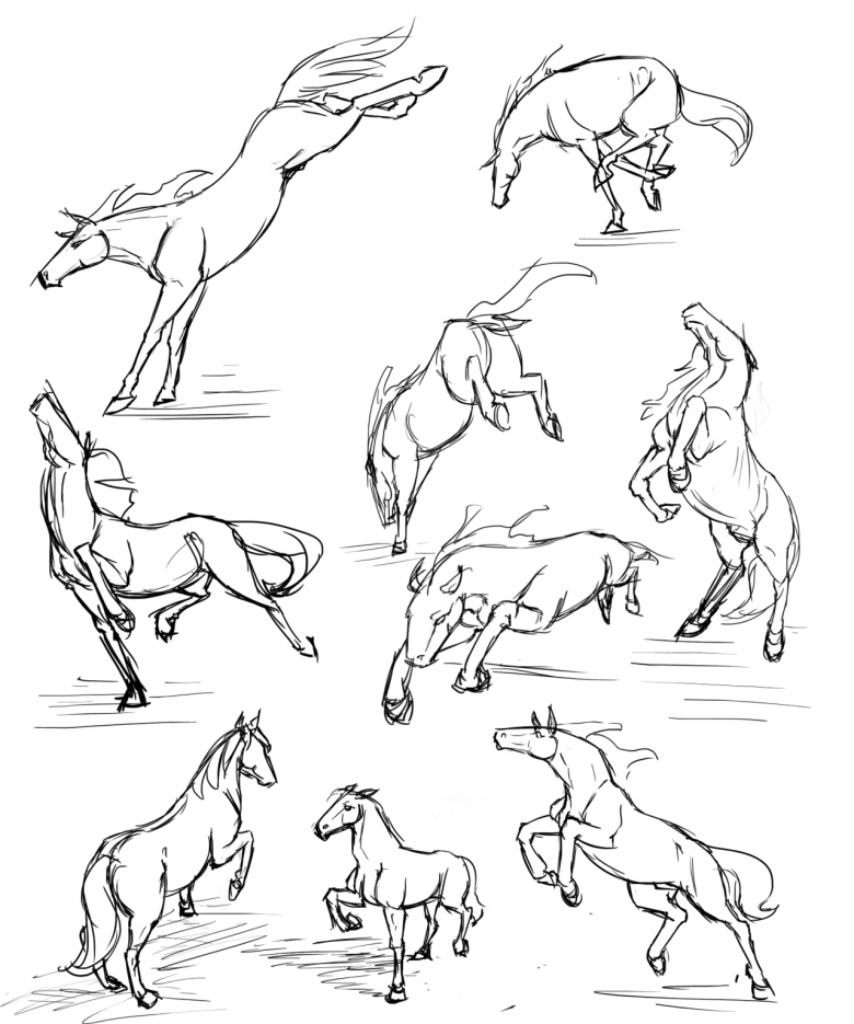 Рисуем лошадь поэтапно карандашом.