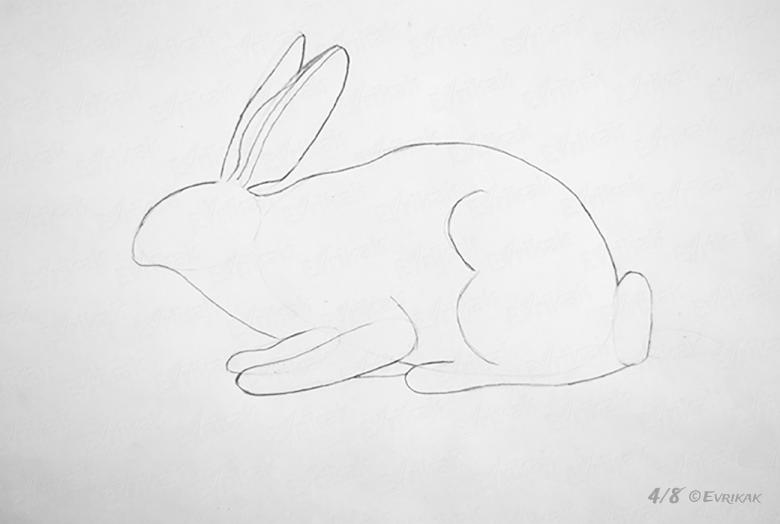 Рисунки причесок карандашом и уроки для ребенка и взрослого как просто нарисовать зайца белоснежку с помощью мастер класса от художника