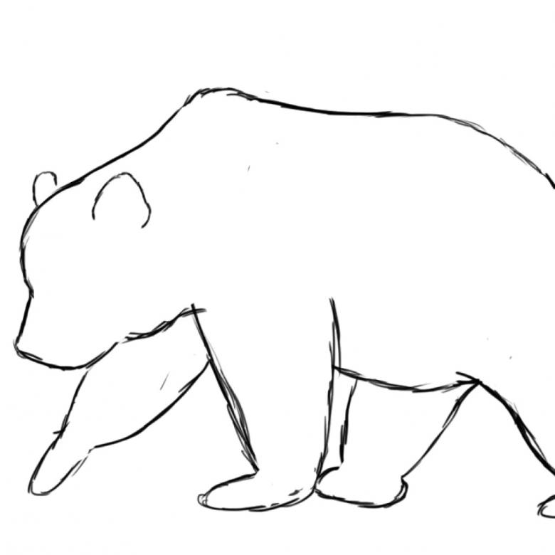 Нарисованный медведь 