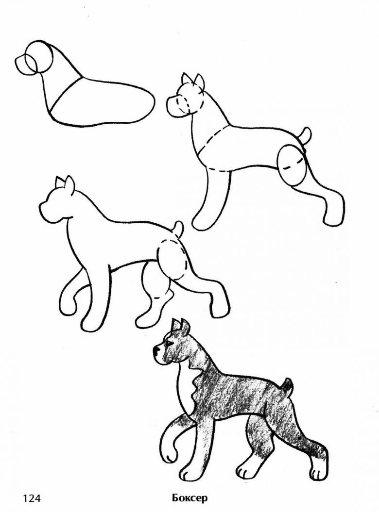 Как нарисовать кошку легко и просто? - Кот, пёс и я