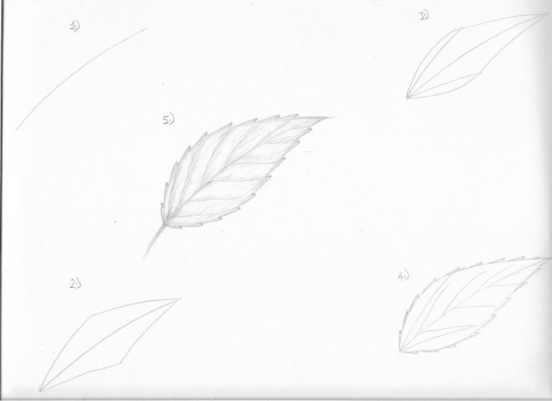 Нарисованные листья 