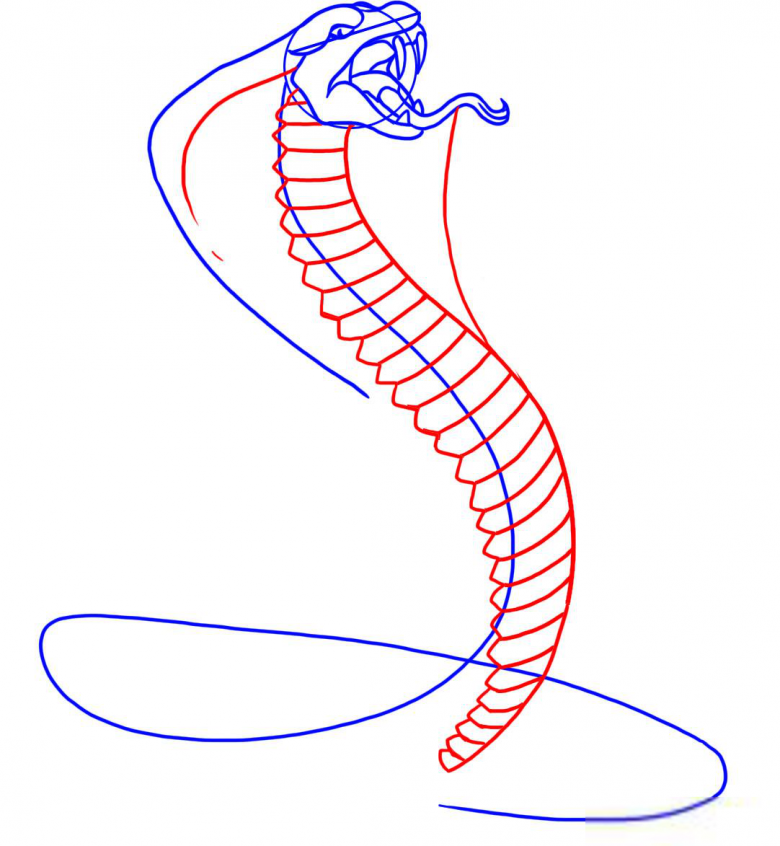 Нарисованная змея 