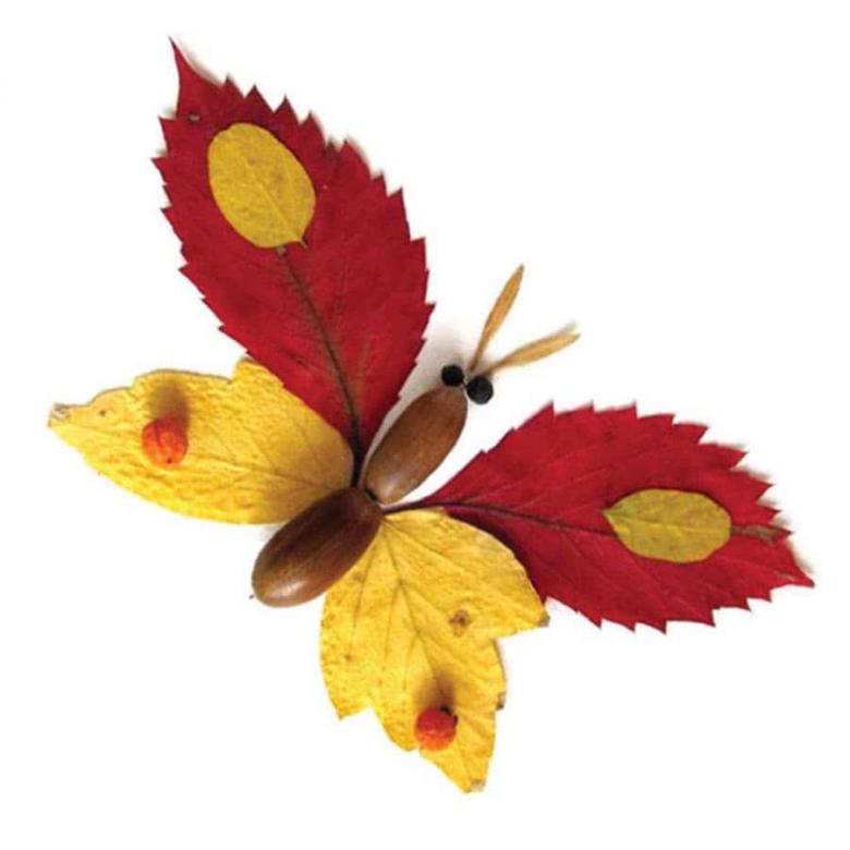 Аппликация бабочки  из листьев и цветной бумаги 