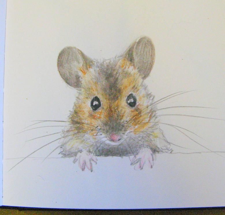 Нарисованная мышь 