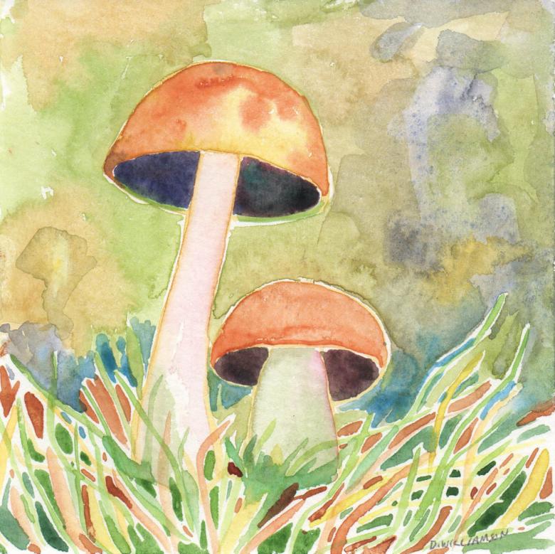 Нарисованный гриб 