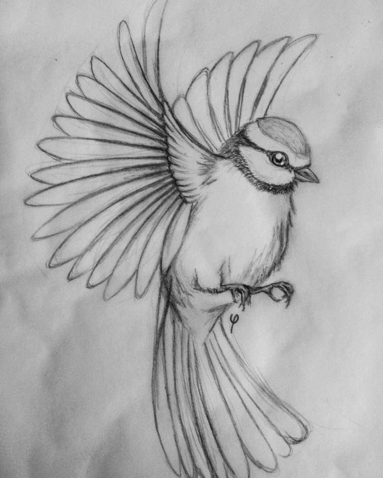 Нарисованная птица 