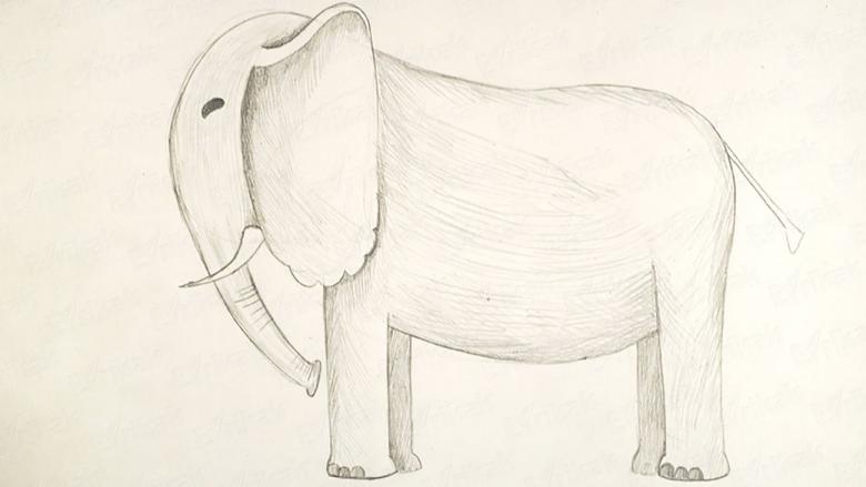 Нарисованный слон