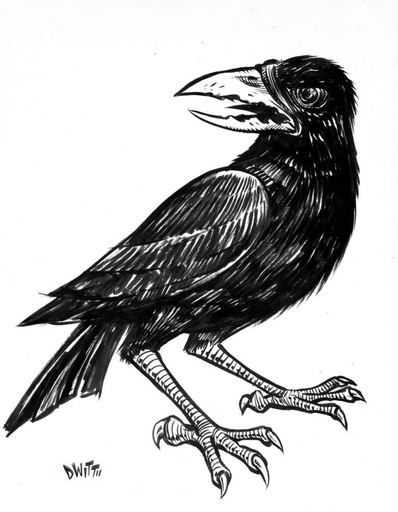 Нарисованная ворона 