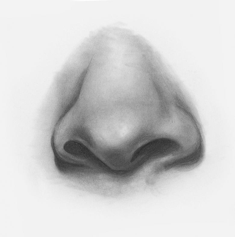 Нарисованный нос