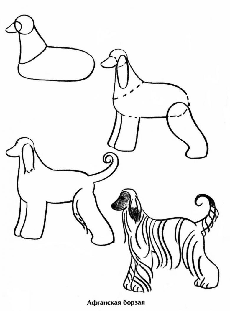 Нарисованная собака 