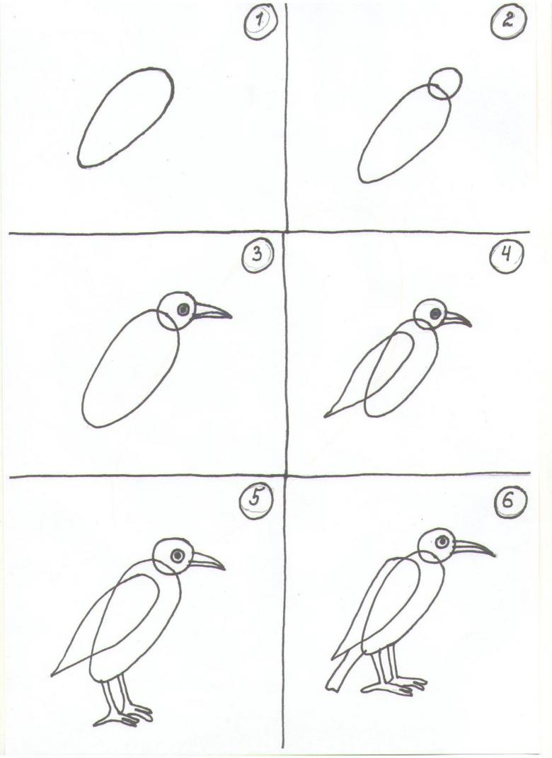 Уроки рисования карандашом - как рисовать птицу? | АРТАКАДЕМИЯ Курсы рисования Киев