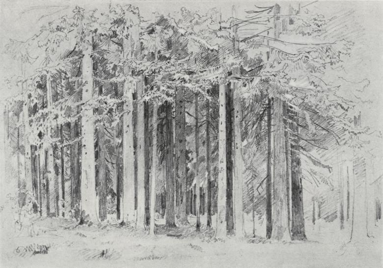 Рисунок леса 