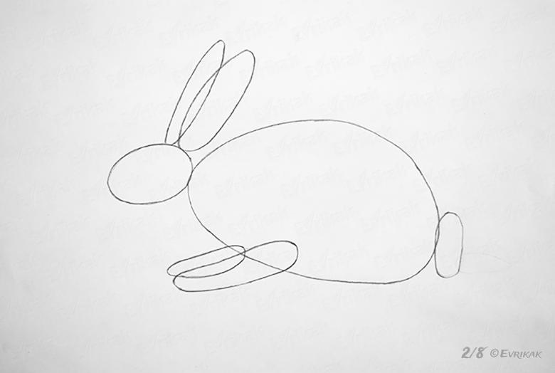 Как нарисовать зайца карандашом - поэтапные мастер-классы для начинающих i