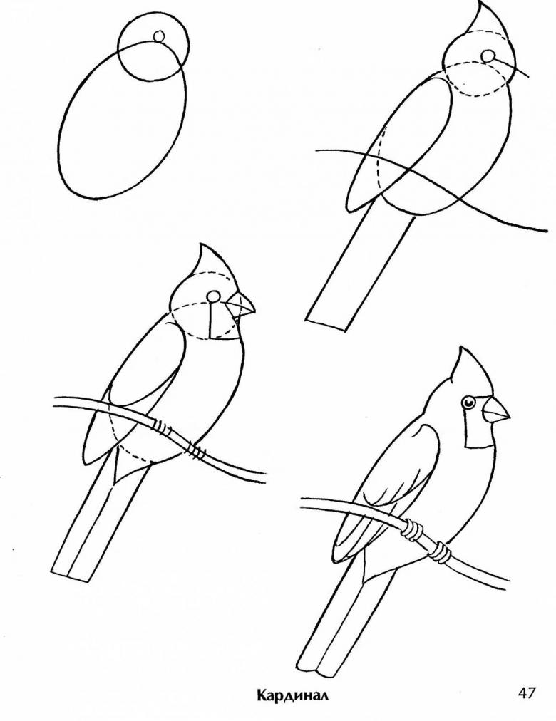 Нарисованная птица 