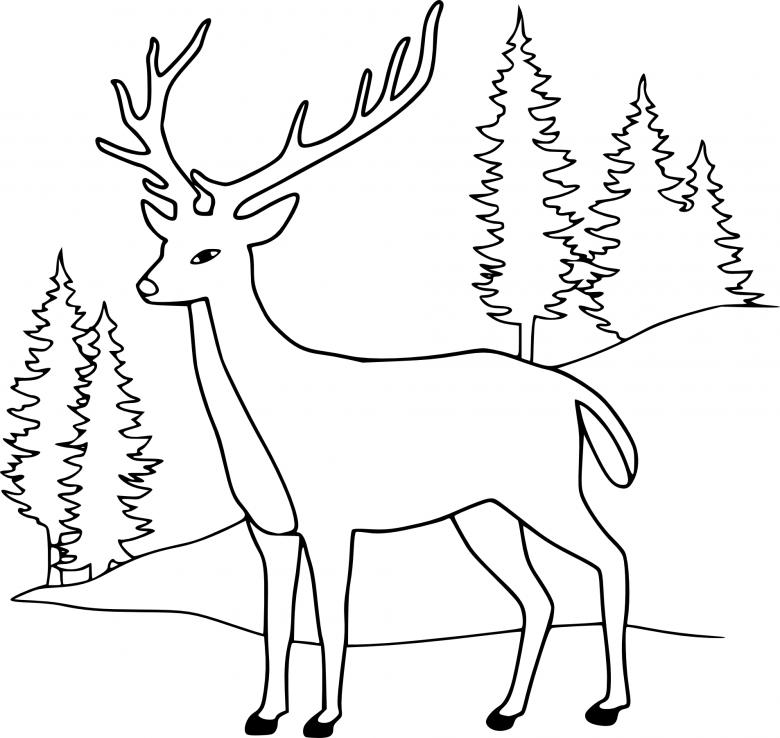 Нарисованный олень 
