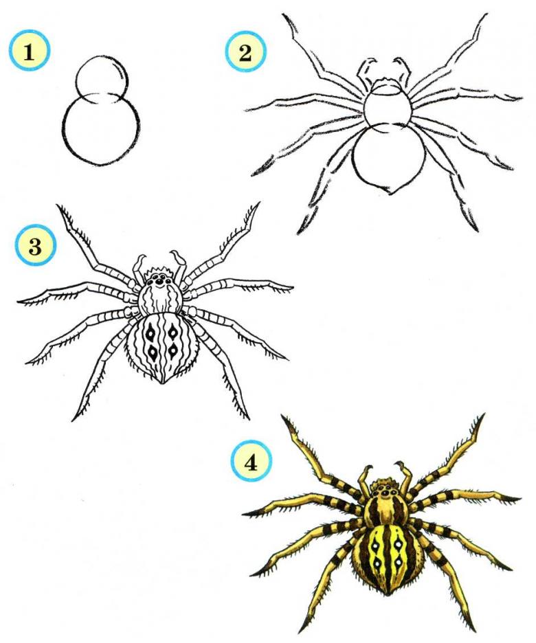 Нарисованный паук 