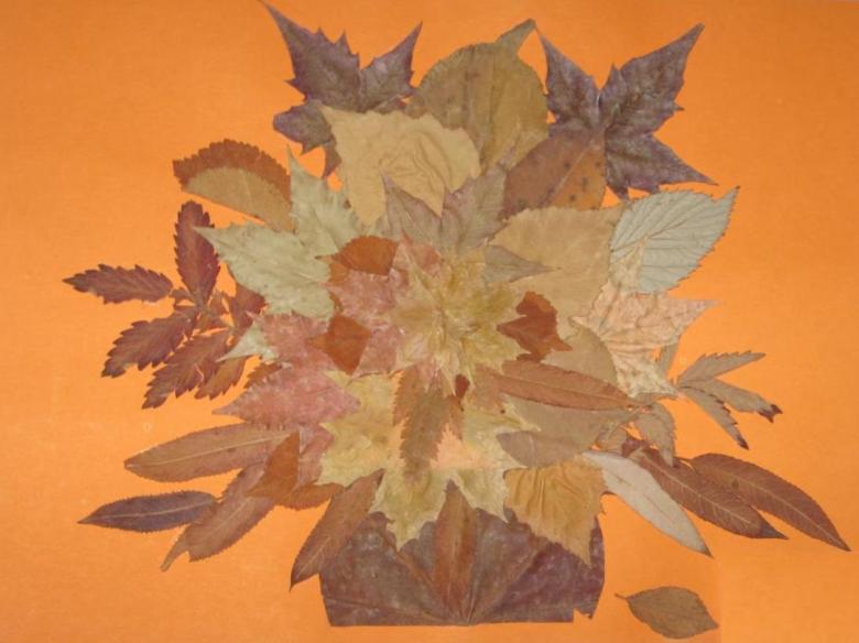 Аппликация   из листьев и цветной бумаги 