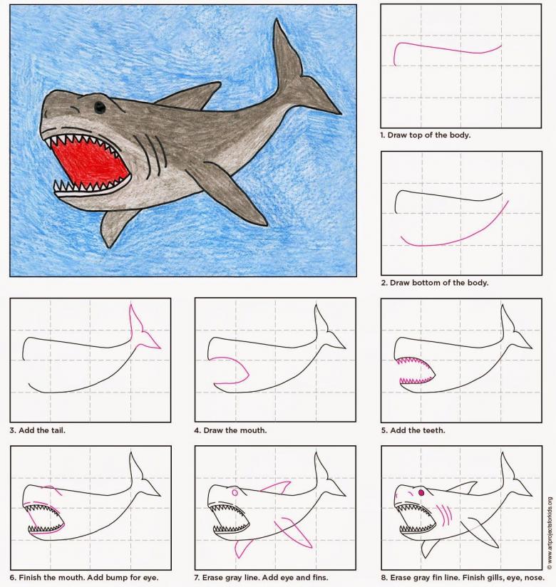 Как нарисовать акулу карандашом поэтапно — 3 рисунка для начинающих