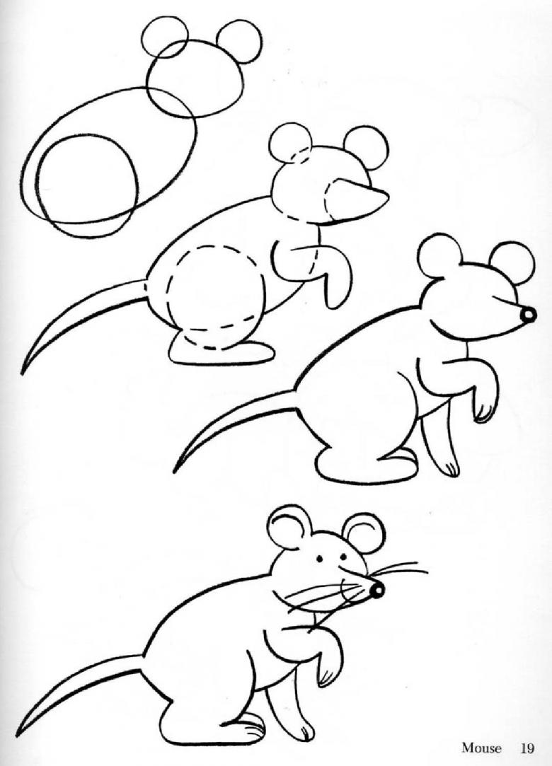 мышь 