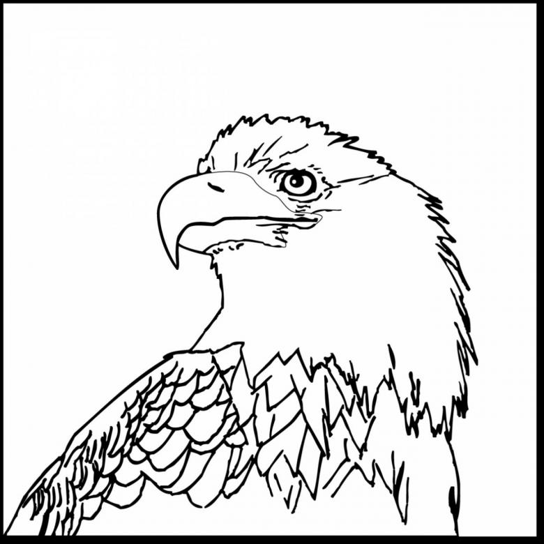 Нарисованный орел 