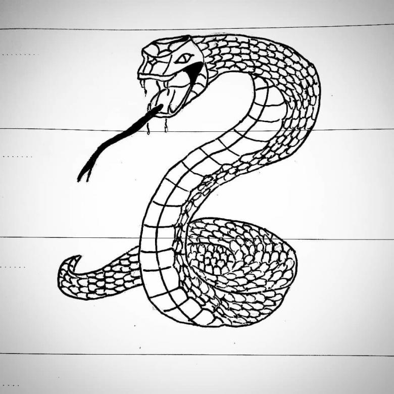 Нарисованная змея 