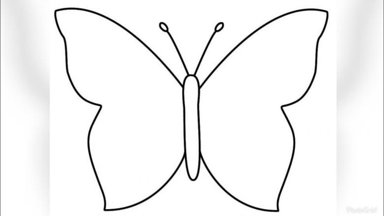 Бабочка нарисованная карандашом 