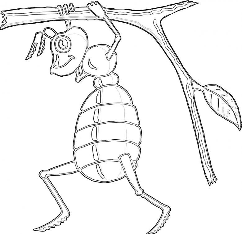 Нарисованная черепаха и мудрый муравей 