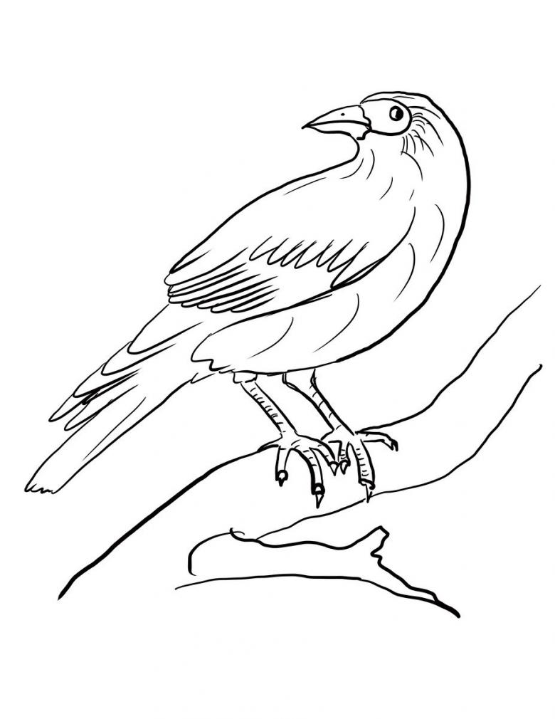 Нарисованная ворона 