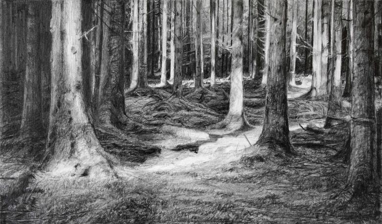 Как нарисовать лес поэтапно карандашом и красками — примеры рисунков и этапы создания рисунка леса