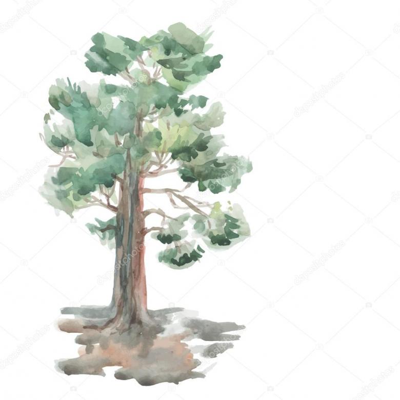 Нарисованное дерево 