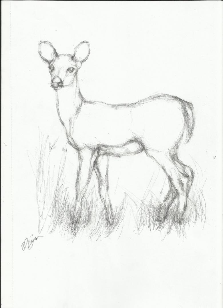 Нарисованный олень 