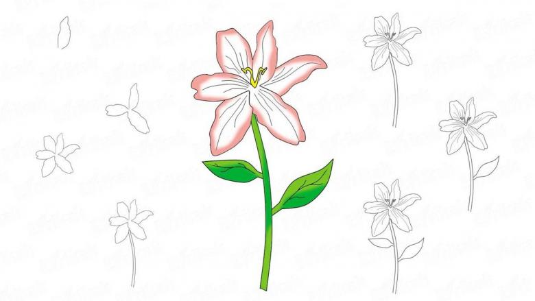 Нарисованный цветок 