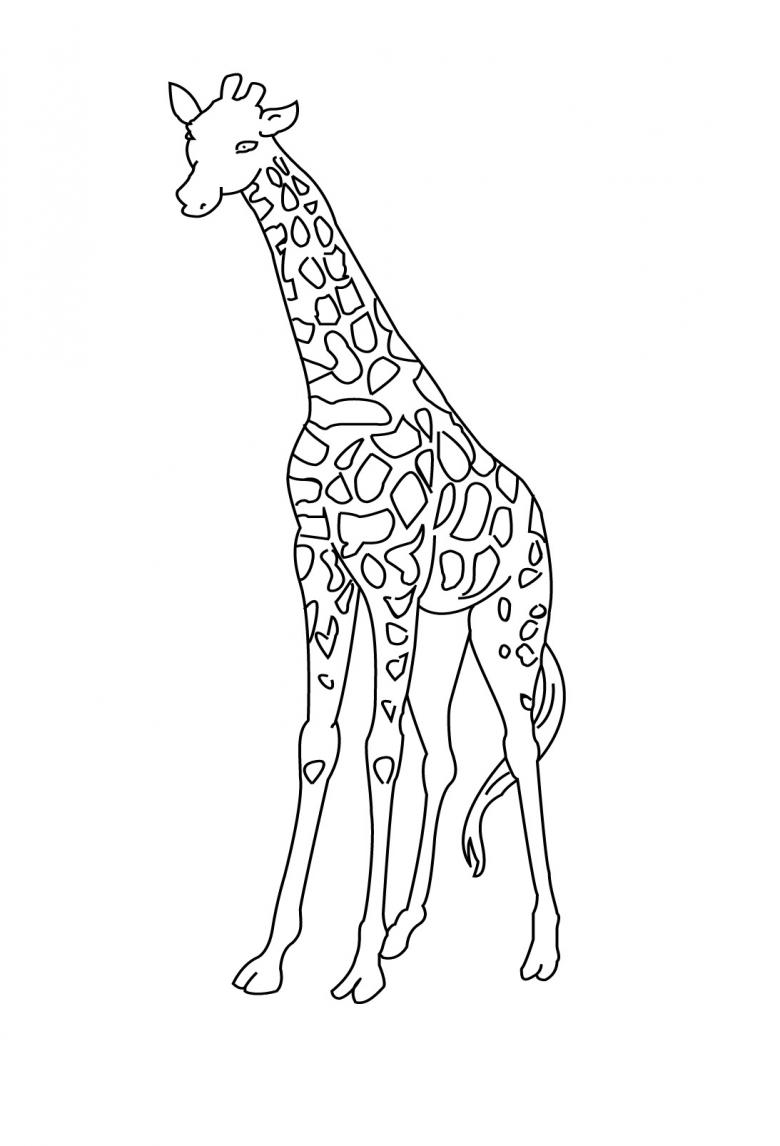 Нарисованный жираф 