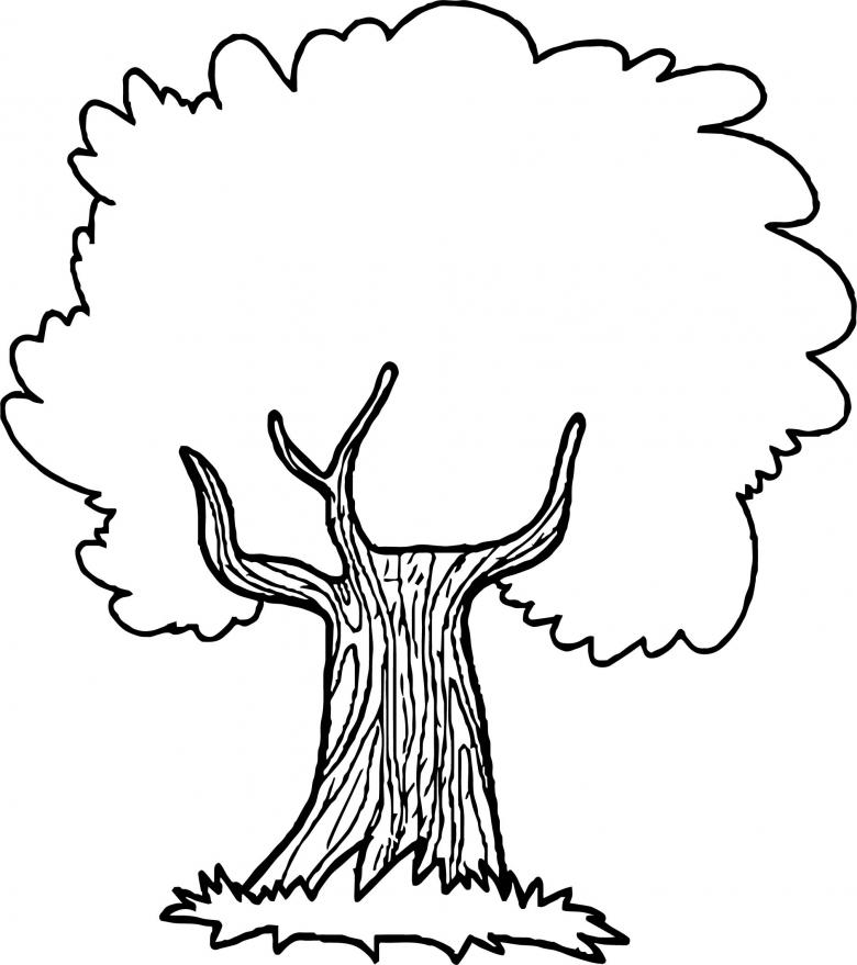 Нарисованное дерево карандашом 