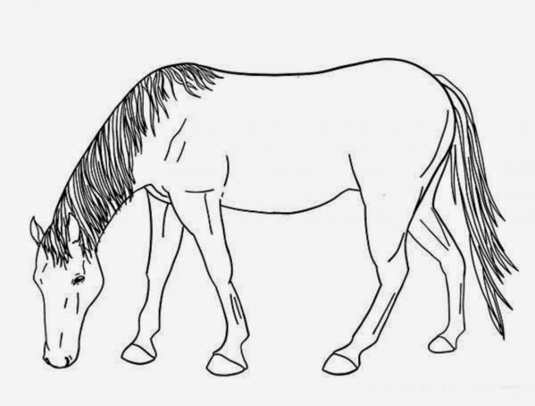 Нарисованная лошадь 