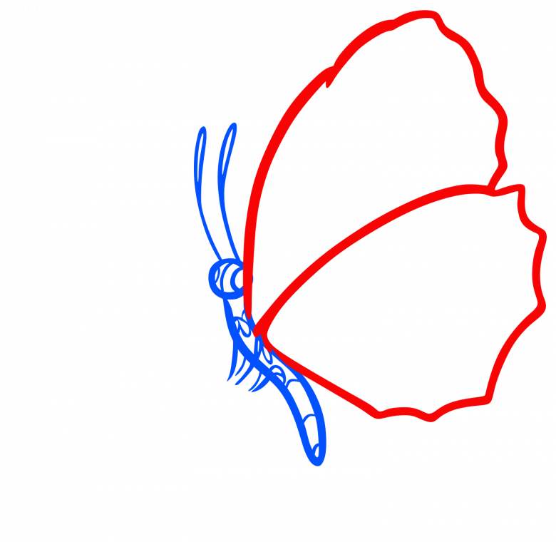 Пошагово бабочка рисунок