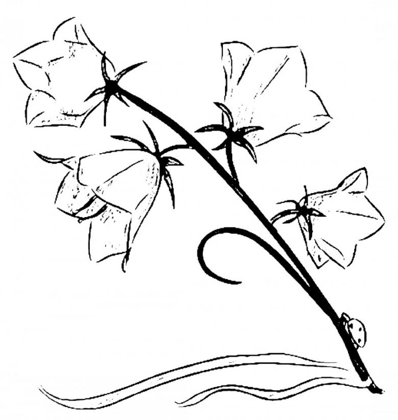 Нарисованный цветок 