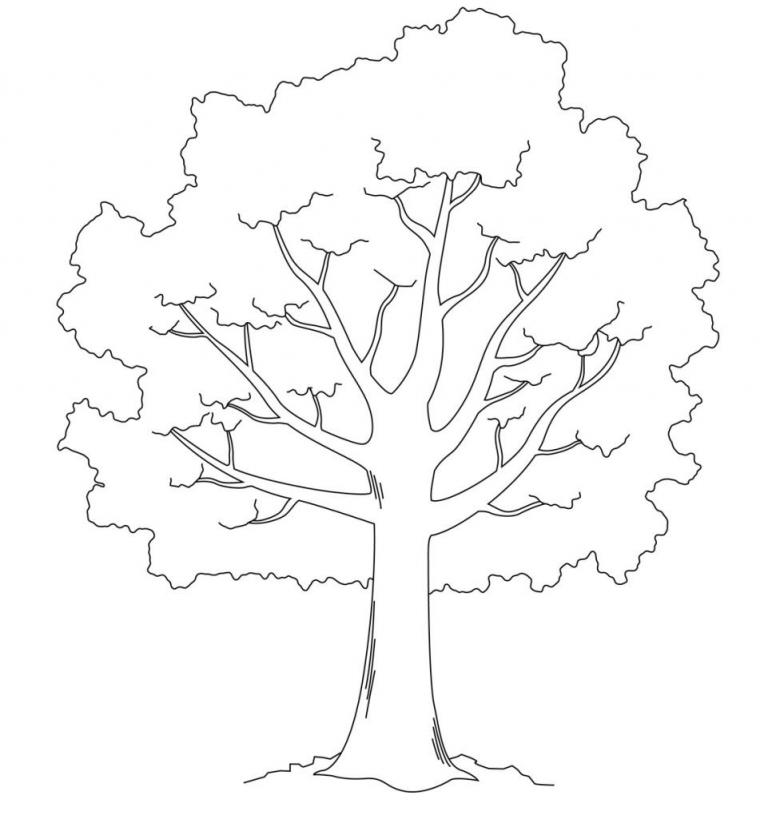 Как нарисовать дерево чёрным маркером или фломастером
