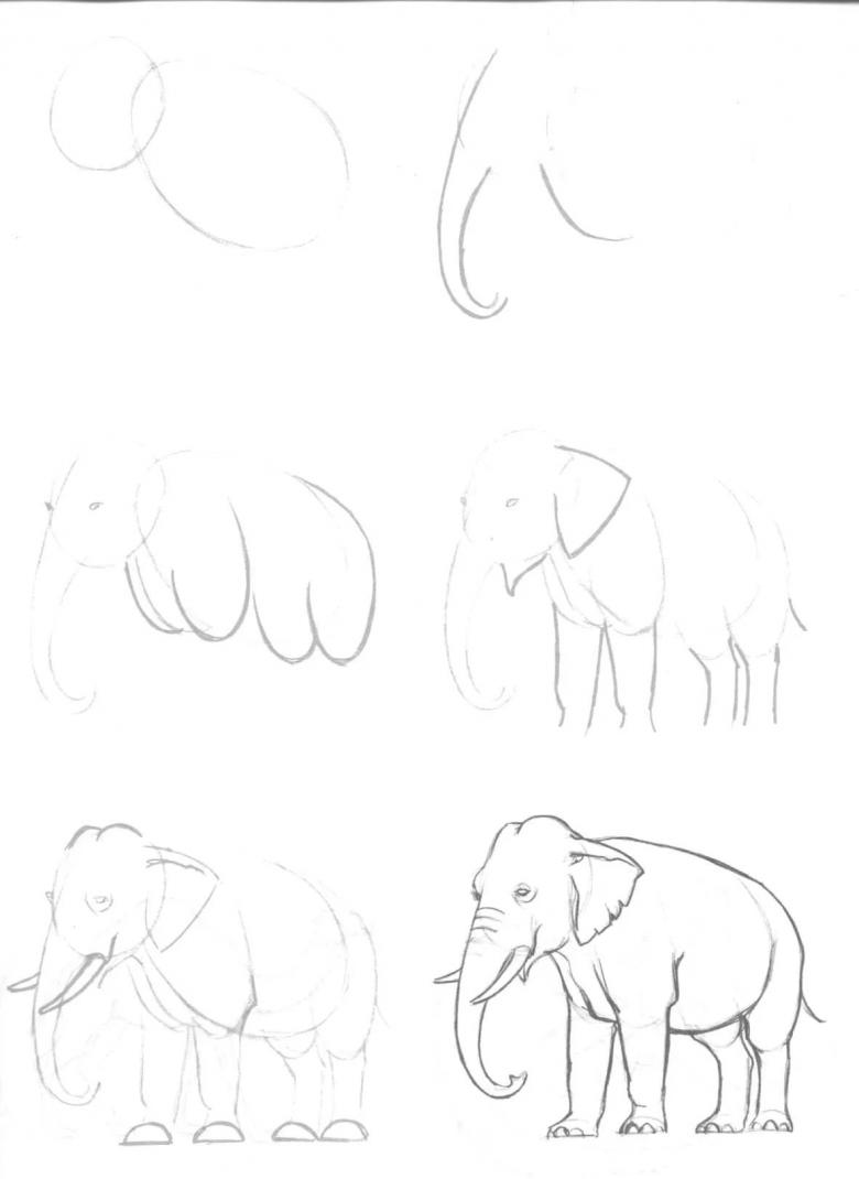 Нарисованный слон