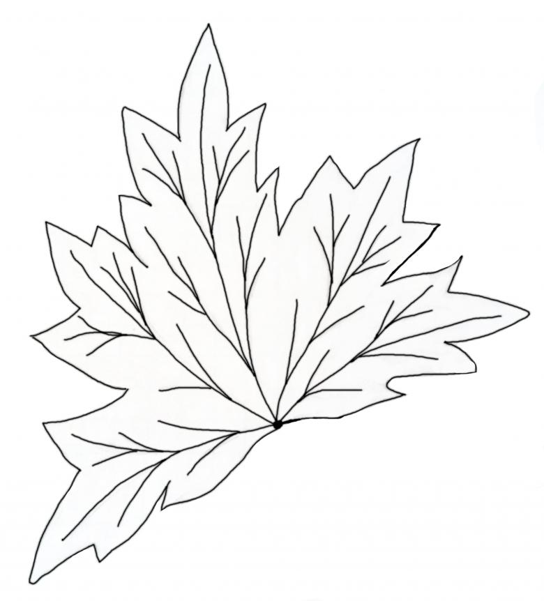 Нарисованный кленовый лист 