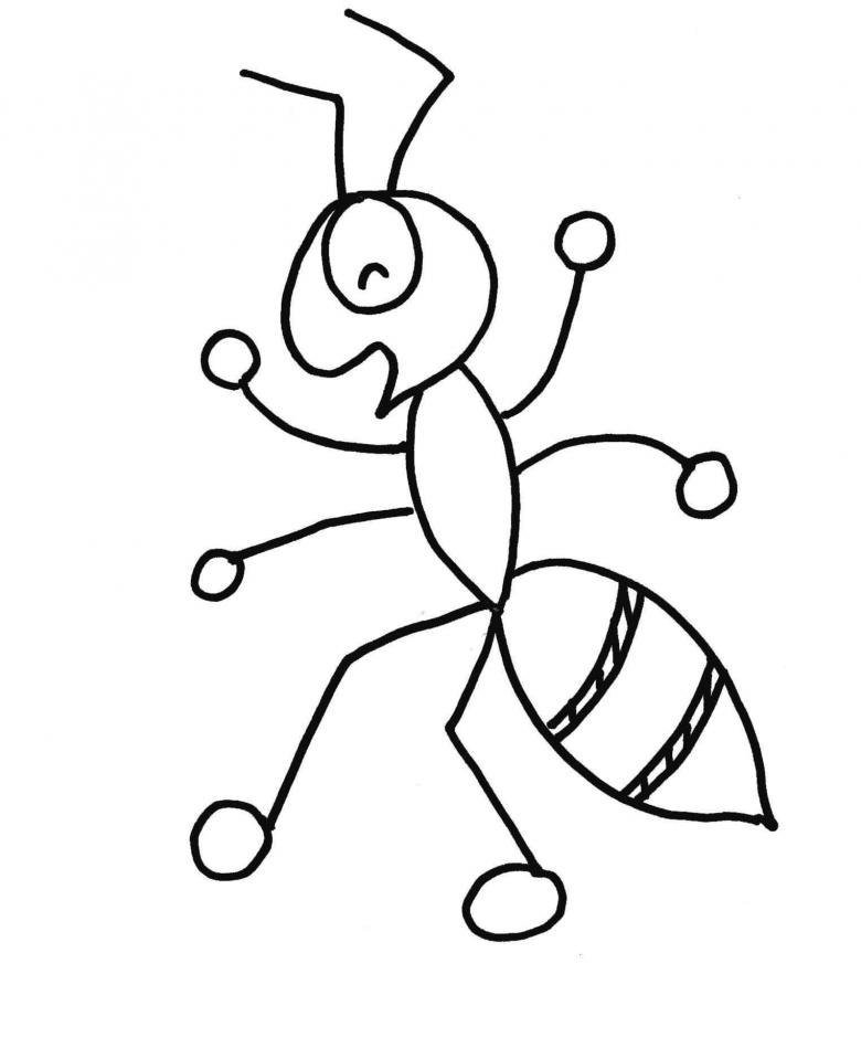 Как нарисовать муравья и мудрую черепаху карандашом - поэтапные мастер-классы для начинающих