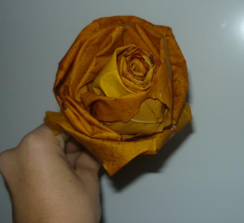 роза из бумаги