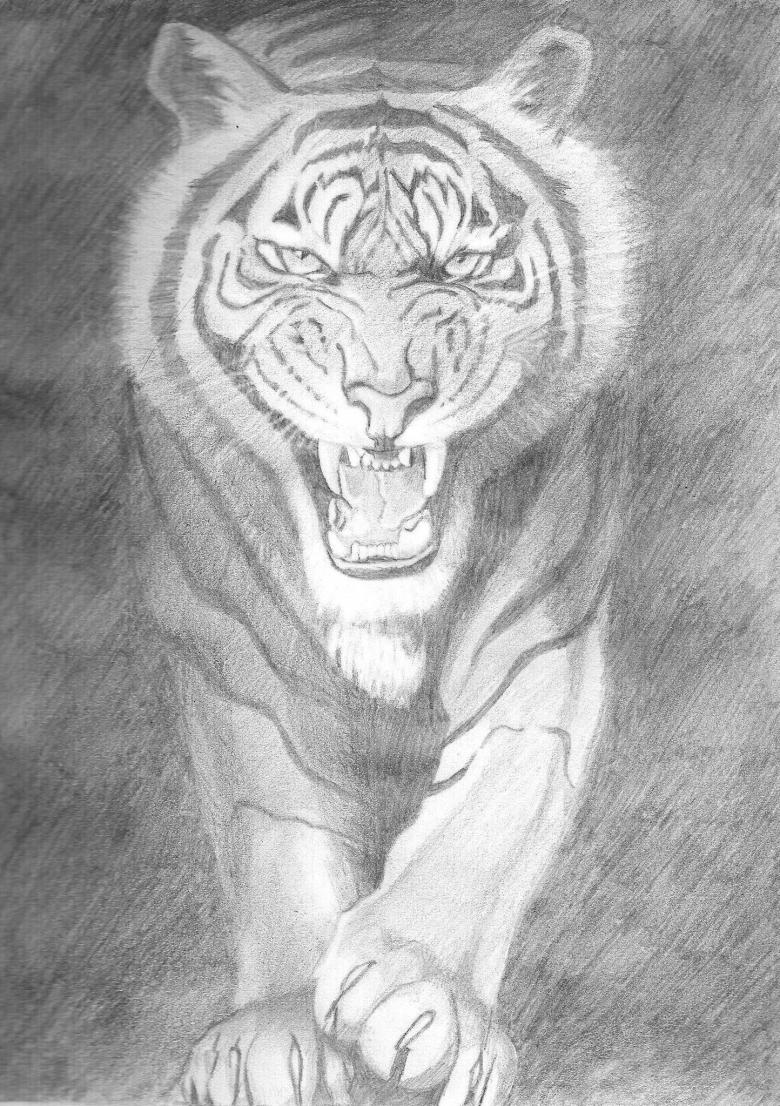 Нарисованный тигр 