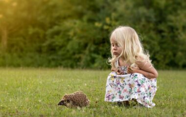 Как познакомить ребенка с разными животными